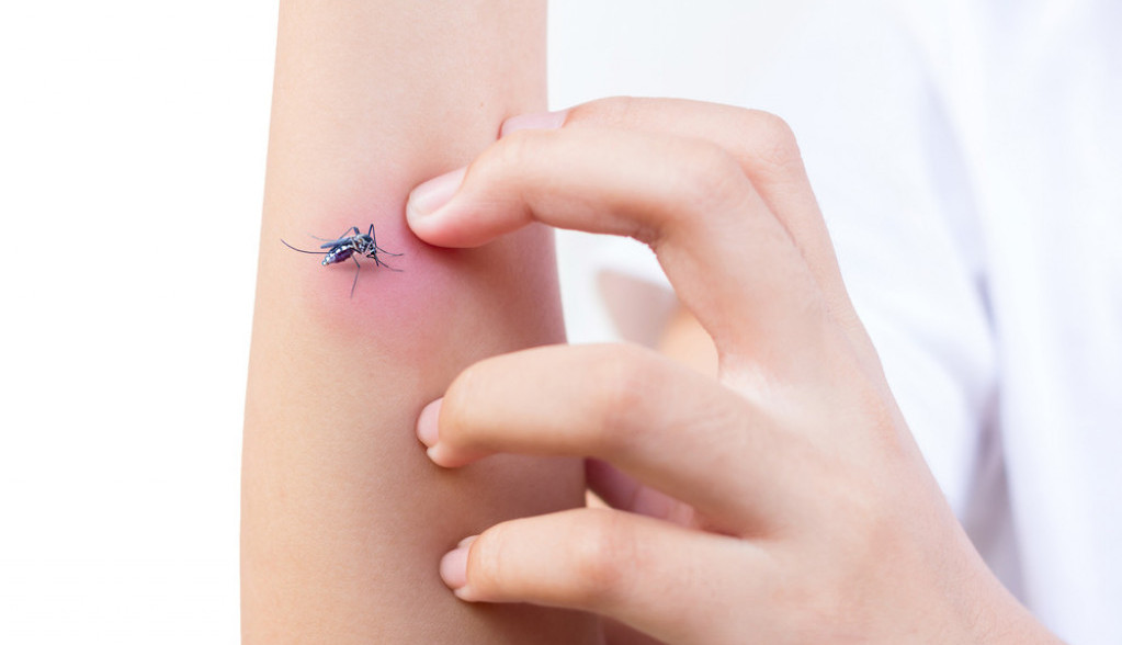 Oterajte komarce na PRIRODAN način: Ovo su najbolji TRIKOVI, a začin koji svi imamo NAJMOĆNIJE je sredstvo!