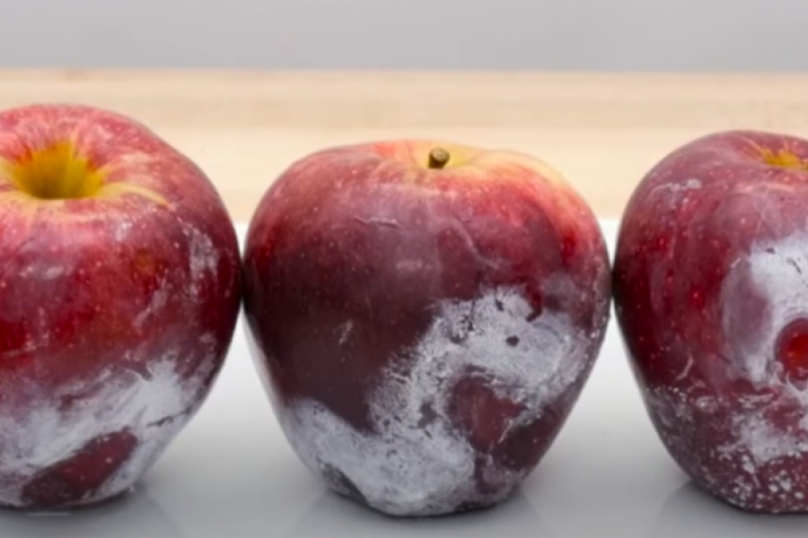 Biće vam potrebna samo KLJUČALA voda: Evo kako da otkrijete da li su kupovne jabuke PRSKANE OTROVIMA
