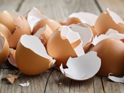 Iskoristite LJUSKE od jaja nakon Uskrsa: Napravite RASTVOR koji biljke vraća u život