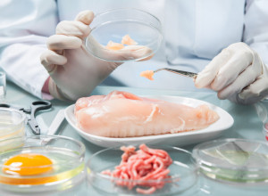 Istraživači su otkrili neverovatan lek za salmonelu: Uništava je hranu koju imamo u frižideru