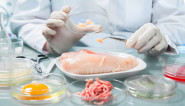 Istraživači su otkrili neverovatan lek za salmonelu: Uništava je hranu koju imamo u frižideru