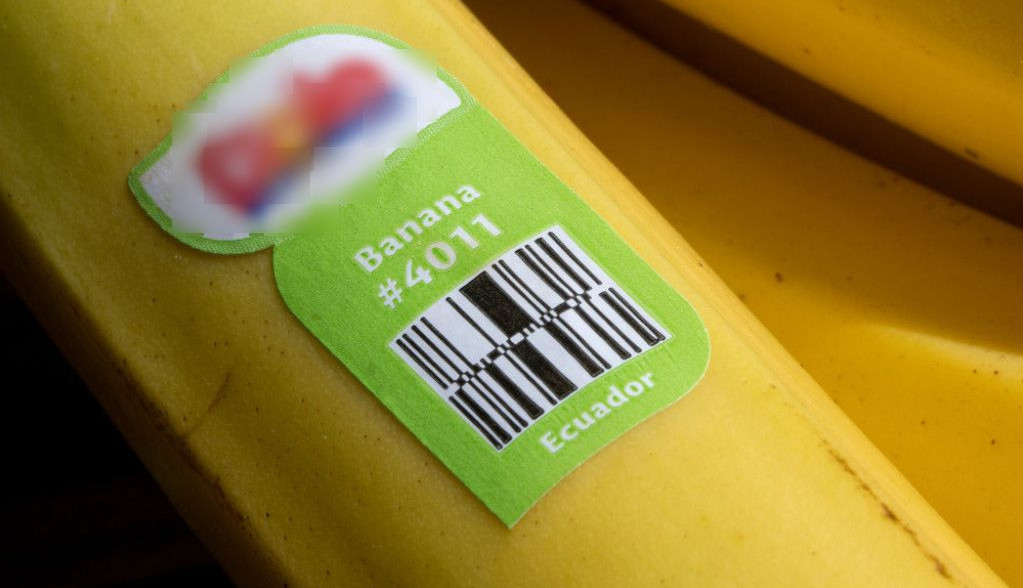 ISPRAVKA: Broj 8 na nalepnicama banana ne znači da su GMO