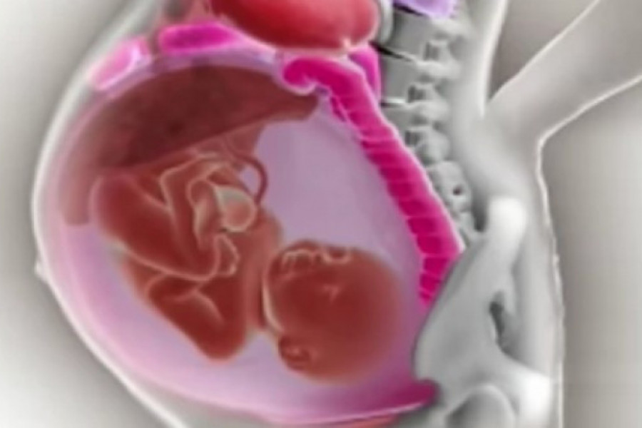 Snimak zbog kog je bez teksta ostalo dva miliona ljudi: Pogledajte kako se organi majke pomeraju u trudnoći