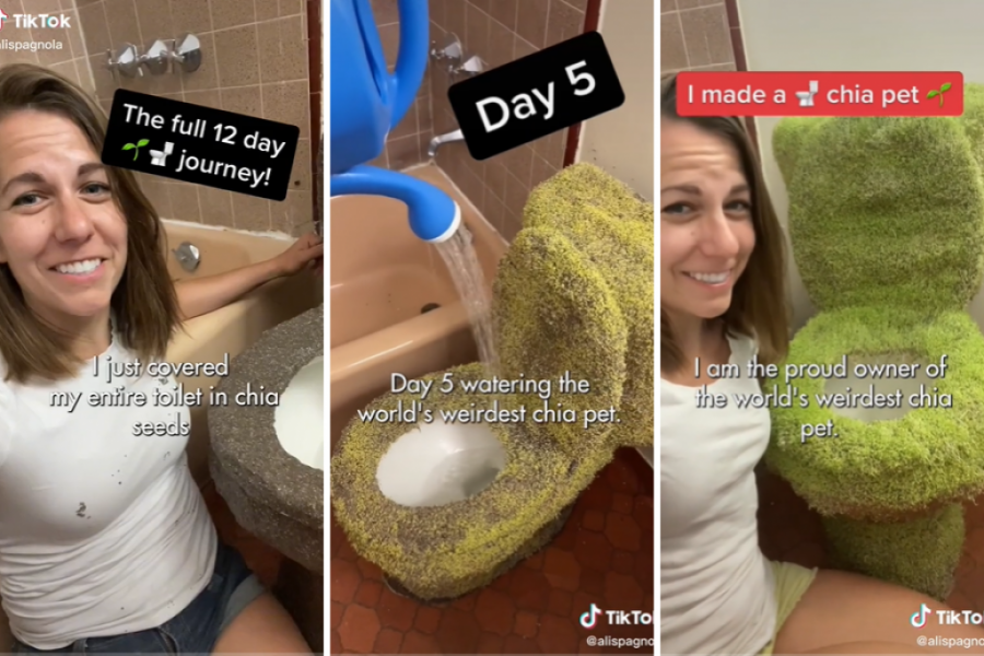 Šta se dešava u njenoj GLAVI? Zasadila je ČIJA semenke na WC šolji, ljudi su u neverici šta vide (VIDEO)