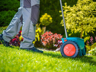 Košenje trave za dugovečnost: Otkrijte kako redovno održavanje dvorišta može produžiti životni vek