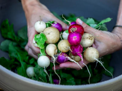 radishes