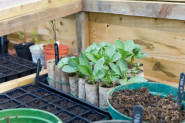 greenhouse in winter