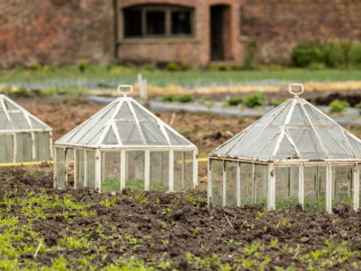 greenhouse in winter