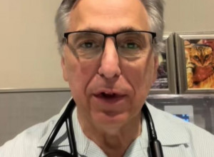 doktor