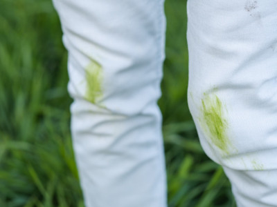 pantalone