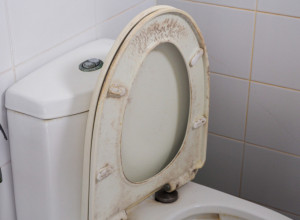 wc šolja daska