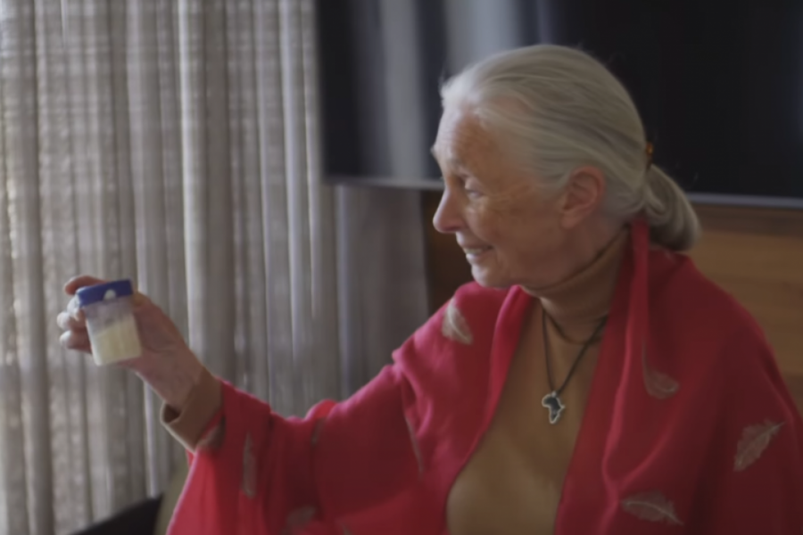 Printscreen/Youtube/National Geographic