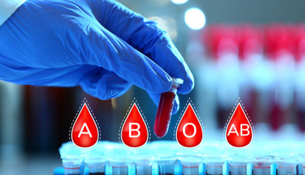 krvna grupa