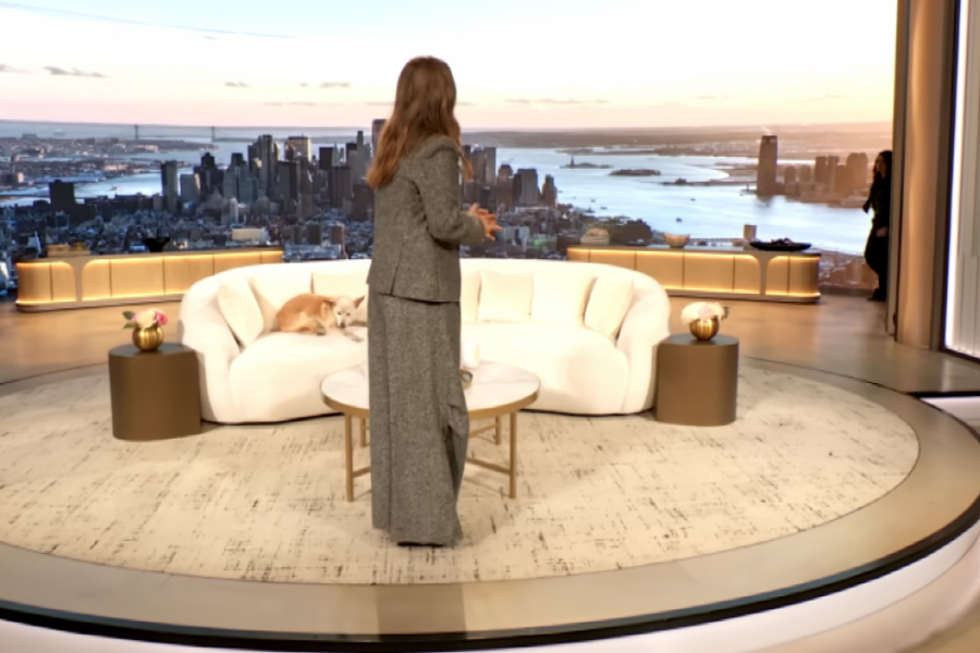 Printscreen/Youtube/The Drew Barrymore Show