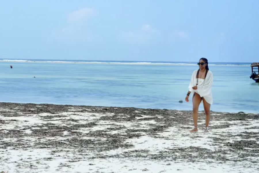 Printscreen/Youtube/Peacock