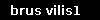 brus vilis1