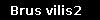 Brus vilis2
