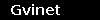 Gvinet