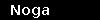 Noga