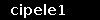 cipele1