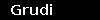 Grudi