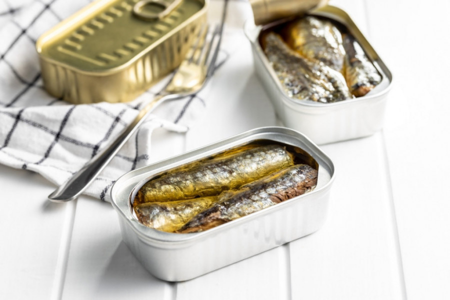 Sardine Sardine