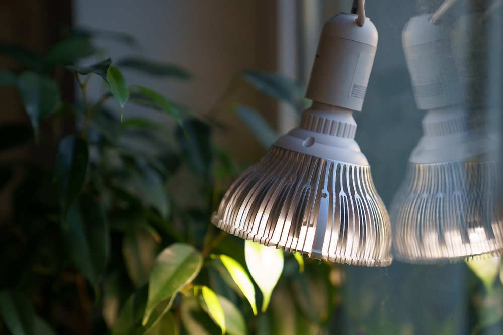Lampa