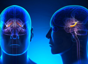 Ova HRANA pomaže protiv upala u MOZGU: Jedno piće vas posebno ŠTITI od demencije i drugih BOLESTI!