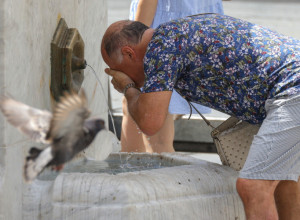 Zbog vrućine vam može stradati ovaj organ: Evo šta savetuje lekar i kako samo jedan kiseli krastavac može da vas spasi