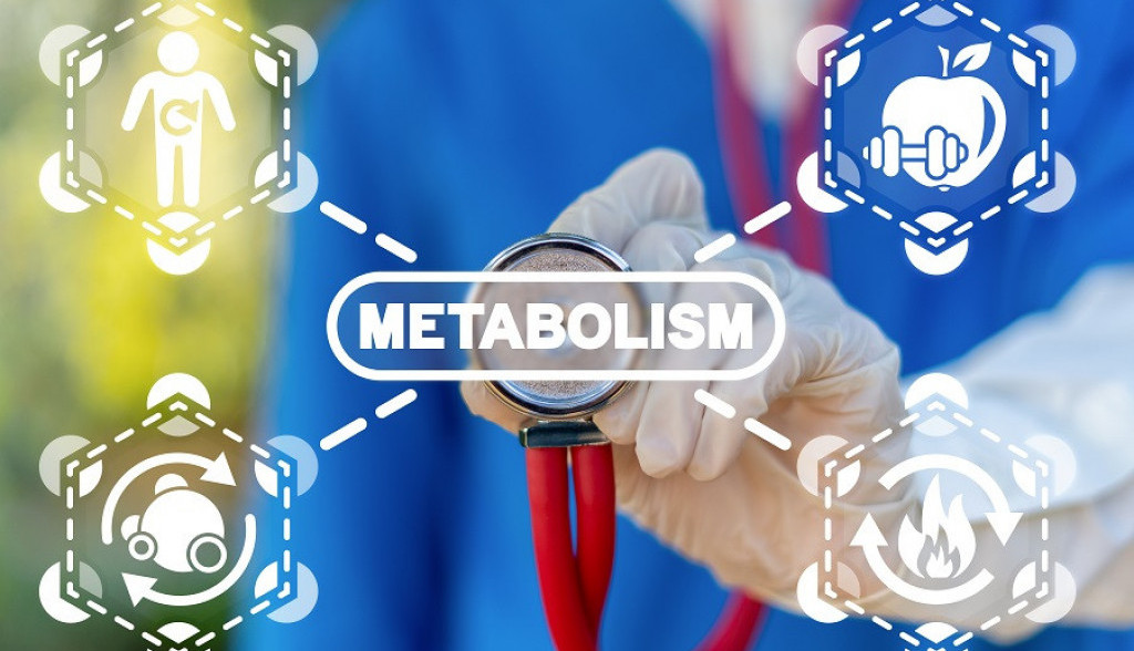 Brzi TEST za METABOLIZAM: Odgovorite na pitanja i saznajte koju HRANU treba da jedete kako biste ga ubrzali
