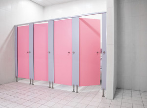 Da li stavljate TOALET PAPIR na dasku od wc šolje? Nikada to više da niste uradili, ozbiljno možete da naškodite vašem ZDRAVLJU