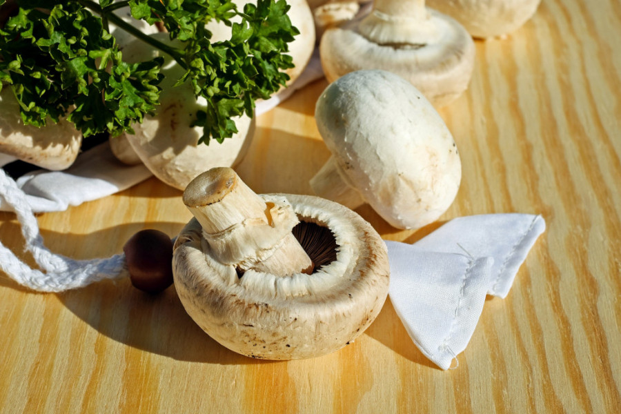 Svi POGREŠNO spremate pečurke: Poznati kuvar pokazao JEDINI ispravan način za pripremu jela od ove namirnice