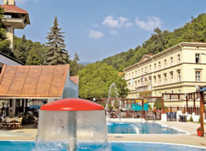 JEDNA OD NAJSTARIJIH BANJA U SRBIJI I Turci bili očarani lekovitim izvorima ovog mesta u kojema su uživali samo oni najbogatiji