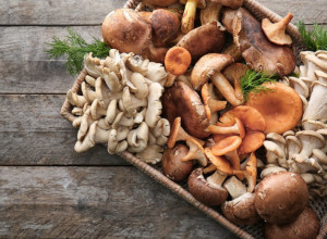 Da li ste znali da možete PEČURKE da ZAMRZNETE? Pogledajte kako to da učinite korak po korak