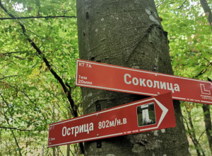 ZMIJA ČUVA BLAGO NEMANJIĆA NA OVOJ PLANINI Mnogi su prolazili kroz selo ali samo najhrabriji su upeli da uđu u usku pećinu