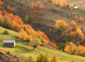 NI TAKSISTI NISU DOLAZILI OVDE  Meštani ovog skrivenog sela na našoj prelepoj planini nakon nekoliko decenija dočekali prvi asfalt