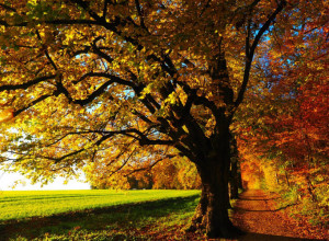 RHMZ javlja: Danas promenljivo, a evo kada nam stiže KIŠA!