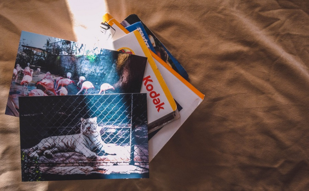 Svi volimo da ih prelistamo s vremena na vreme: Evo kako izgleda "kolekcija" FOTO ALBUMA kada imate TROJE dece
