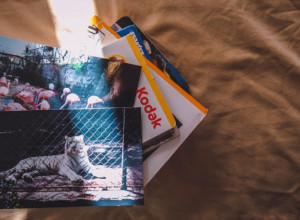Svi volimo da ih prelistamo s vremena na vreme: Evo kako izgleda "kolekcija" FOTO ALBUMA kada imate TROJE dece