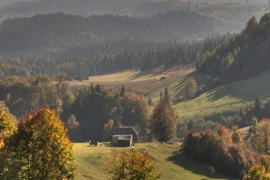 OVA ŽENA JE SRPSKI ROBINZON KRUSO Radica ne viđa ljude po nekoliko meseci i hrani se onim što ubere u šumi