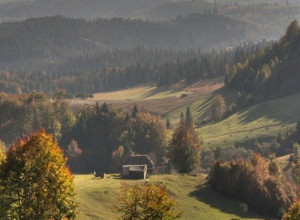 OVA ŽENA JE SRPSKI ROBINZON KRUSO Radica ne viđa ljude po nekoliko meseci i hrani se onim što ubere u šumi