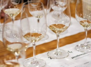 Dominacija GRAŠCA iz Srbije! Trofej za mirno vino i dvostruko zlato otišli su u ruke čuvene kuće Vista Hill