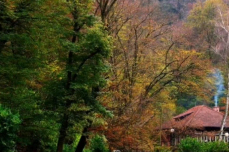 Pojedine ŽENE ne bi smele da ih konzumiraju: RUSKI prirodni recepti za ASTMU i BRONHITIS!