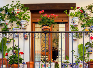 Ovo cveće sadi se u septembru: Ako hoćete da se dobro primi, ovo obavezno morate da uradite