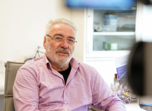 Dr Nestorović otkrio: Ovako se PRAVILNO jede BELI LUK i samo tada je lekovit
