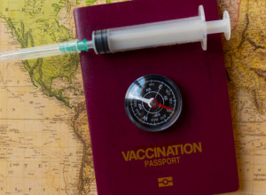 ŠTA SU KOVID PROPUSNICE? Evo gde ćete jedino moći bez njih!