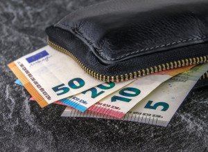 TRIK KOJI DONOSI BOGATSTVO: Ubacite JEDAN EVRO u novčanik i gledajte kako se novac "LEPI" za vas!