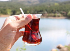 ISPRAVKA: Čaj od kore nara ne leči bolesti creva za pet sati