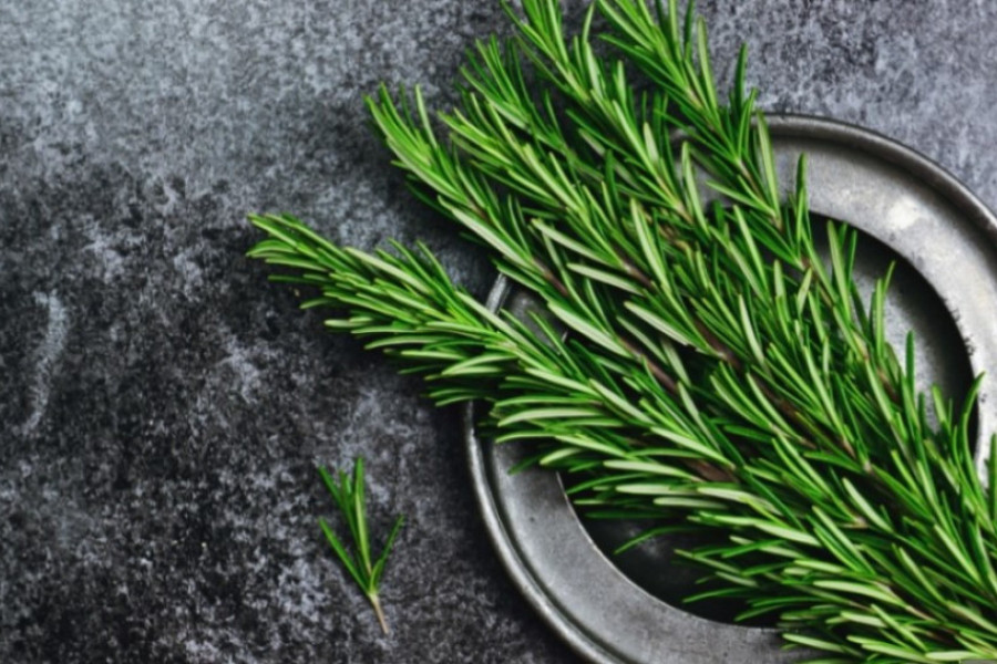 Ova biljka će postati vaša nova amajlija: Donosi blagostanje u dom, ljudi se vekovima kunu u nju