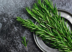 Ova biljka će postati vaša nova amajlija: Donosi blagostanje u dom, ljudi se vekovima kunu u nju